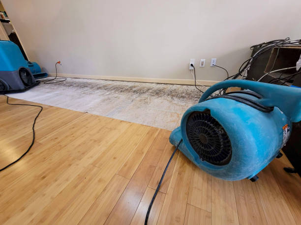 Professional Structural Drying technician working in Marcus Hook, PA